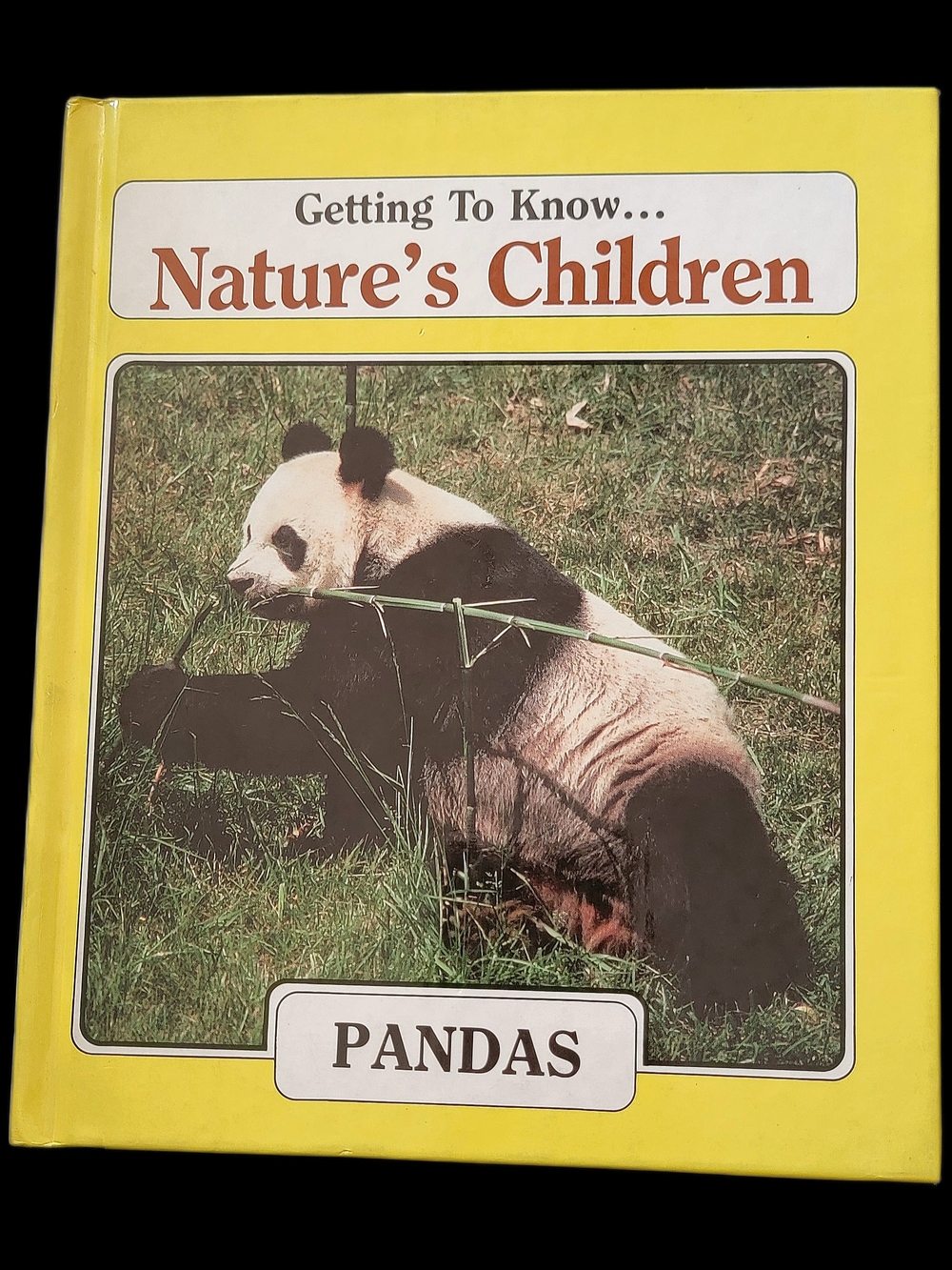 Getting To Know... Nature's Children: Pandas & Lions- Hard Cover